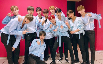 Điểm danh loạt idolgroup nổi tiếng được sinh ra từ các show thực tế