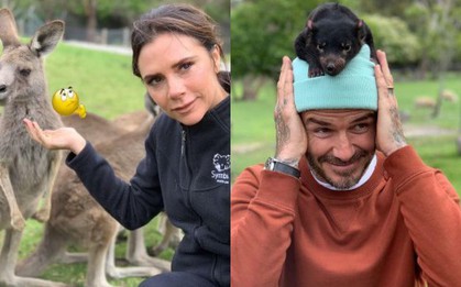 Giữa tin đồn lục đục, vợ chồng Beckham khoe ảnh gia đình đi chơi vui vẻ nhưng lại tránh chụp ảnh cùng nhau