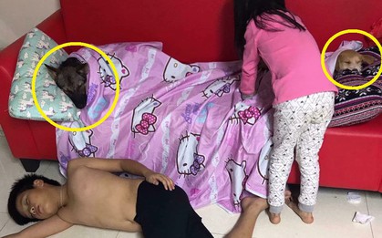 Hình ảnh 2 anh em nằm đất để "nhường chăn sẻ gối" cho lũ boss khiến cư dân mạng thả tim nhiệt liệt