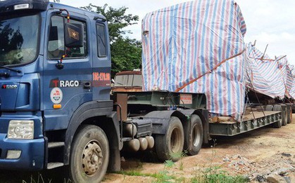 Cây "quái thú" bị bắt giữ ở Quảng Bình từng được bán đấu giá ở Quảng Ngãi