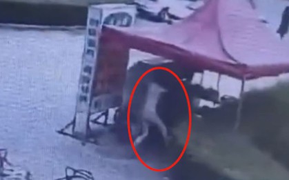 Phàn nàn đồ ăn không ngon, thực khách bị đầu bếp dội cả nồi nước sôi vào người