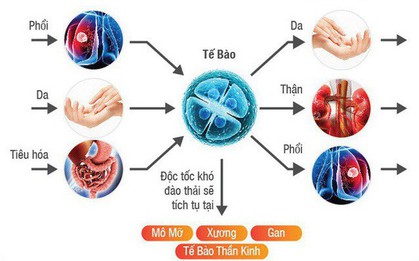 Cơ thể tích tụ quá nhiều chất độc sẽ sinh bệnh nguy hiểm: Đừng bỏ qua 4 cách thải độc này