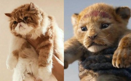 Chết cười với trào lưu “thử vai” cho các boss khi trailer "The Lion King" gây sốt