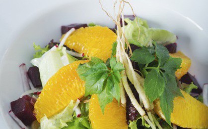 Tín đồ ẩm thực chú ý: Sắp diễn ra Gala Dinner đỉnh cao từ cây mầm nhân sâm Hàn Quốc