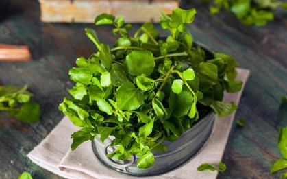 Mùa đông tăng cường ăn cải xoong để đạt được những lợi ích tuyệt vời này!