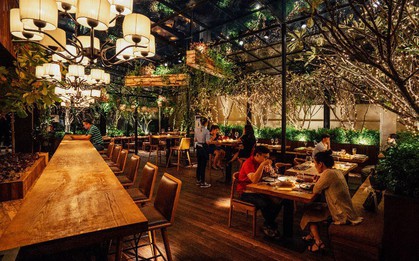 Lạc bước vào rừng thông Bắc Âu tại The LOG