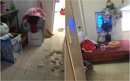 Cô gái cho bạn thân mượn nhà ở free 1 tháng sốc trước núi rác vứt lại, đã thế còn bị chặn luôn Facebook vì “dám” phàn nàn
