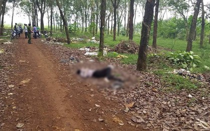 Nghi án người đàn ông bán vé số bị sát hại trong lô cao su