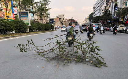 Clip: Thanh niên buộc nguyên cành cây lớn vào xe máy quét dọc đường Trường Chinh