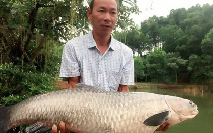 Ông bố đam mê câu cá dọn nhà ra "biệt thự" cạnh đầm ở, quyết tâm "săn" cá khủng 14kg mới về nhà ăn Tết với vợ con