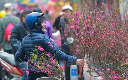 Cận Tết miền Bắc mưa rét giảm 7 độ C, vùng núi cao dưới 5 độ