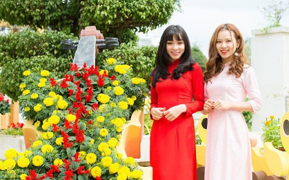 Giới trẻ háo hức chờ đón lễ hội "Mai vàng sắc xuân" Sun World Danang Wonders