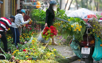 Ai cũng mong Tết, nhưng rồi cảnh người bán đập chậu, người mua ép giá rồi lao vào "hôi hoa" ngày 30 Tết vẫn tái diễn
