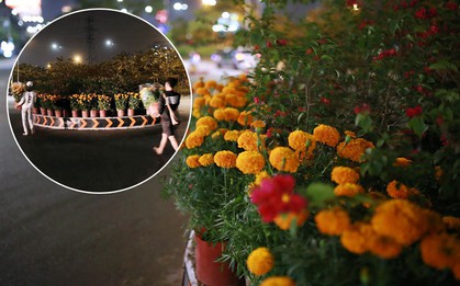 Câu chuyện đáng yêu về hai vợ chồng “dịu dàng giữa thịnh nộ”: Mang hoa ế 30 Tết trang trí cho vòng xoay ở Sài Gòn
