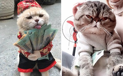Bộ mặt hờn dỗi của các boss khi năm nay bị thất thu tiền lì xì