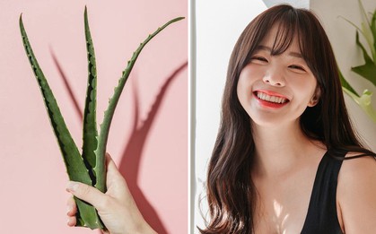 Chẳng cần đầu tư đồ đắt tiền, chỉ chút gel nha đam là đủ để bạn phục hồi cho tóc mềm mượt, bồng bềnh sau Tết