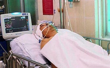 Đưa vợ con đi chơi Tết, bị cây rơi trúng đầu bất tỉnh