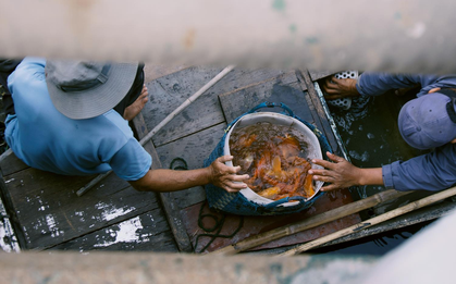 Hàng chục thuyền bè tranh nhau vớt cá chép vừa phóng sinh ở Sài Gòn, người dân bất lực đứng nhìn