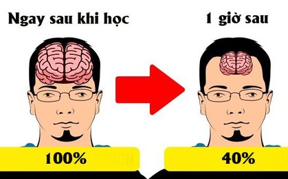 Lý do chúng ta luôn "học trước quên sau" và bí kíp để ghi nhớ "siêu" như máy tính