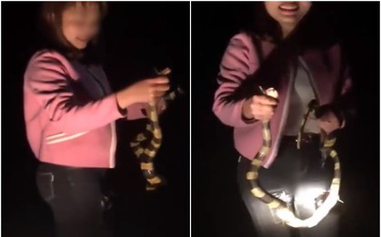 Clip: Cô gái thản nhiên dùng tay không bắt rắn cạp nong cực độc ngay giữa đường khiến nhiều người thót tim sợ hãi
