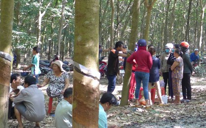 Bắt giữ nghi can hiếp dâm bé gái 4 tuổi, ném xuống giếng trong rừng cao su ở Bình Phước