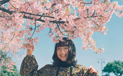 Lướt Instagram từ Âu đến Á là biết mùa hoa anh đào tuyệt đẹp đã thực sự đến rồi!