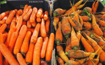 Nghiên cứu tại Mỹ chứng minh chúng ta đã lãng phí thức ăn một cách quá khủng khiếp