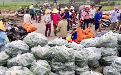 Tâm sự của nữ TNV "giải cứu" dưa chuột: "Niềm vui với chúng tớ đơn giản chỉ là nụ cười của bà con nông dân"