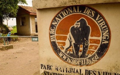 Congo: Hai khách du lịch người Anh bị bắt cóc tại công viên Virunga