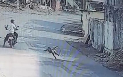 Clip: Khỉ vào làng điên cuồng tấn công người dân