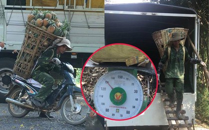 Người đàn ông đeo 130kg dứa trên vai đến bán khiến thương lái không tin vào mắt mình