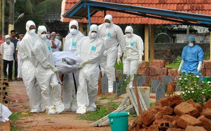 Ấn Độ: Virus Nipah lây lan nhanh khiến 13 người tử vong, có nguy cơ thành đại dịch