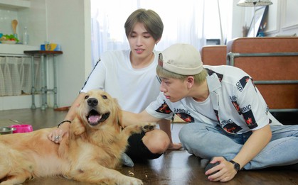 Who's The Boss: Cody (UNI5) - Nicky (Monstar) khổ sở dạy tiếng Anh, làm cơm trộn cho "ông chủ khó tính"