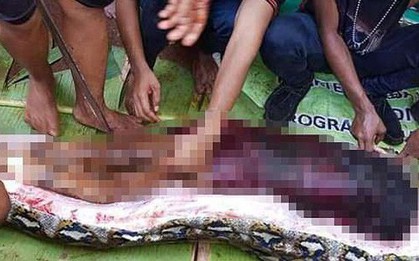 Mổ bụng trăn 8m, kinh hãi phát hiện thi thể phụ nữ