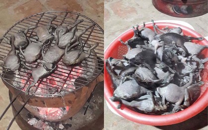 Góc đặc sản: Món ếch nướng cả con không bỏ gì hết khiến dân mạng băn khoăn có nên làm thử hay không