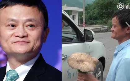 Trung Quốc: Phát hiện người đàn ông giống hệt CEO Jack Ma rao bán nấm rừng ở ven đường
