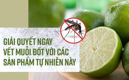 Giải quyết ngay vết muỗi đốt với các sản phẩm tự nhiên này