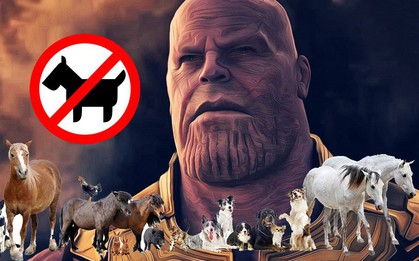 Thêm một sự thật về độ tàn nhẫn của Thanos được tiết lộ: Búng tay "rút gọn phân số" cả người lẫn thú!