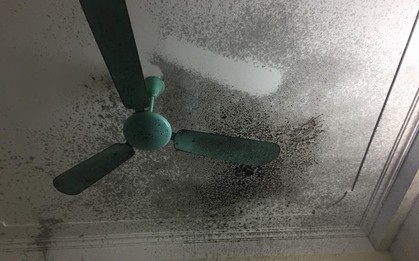 Đang nấu chè đỗ đen thì nồi áp suất phát nổ,  mọi thứ bắn lên tận trần nhà
