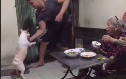 Clip: Sen và boss cùng nhau khiêu vũ, bà nội ngồi cạnh ngỡ ngàng không hiểu 2 đứa nó làm sao