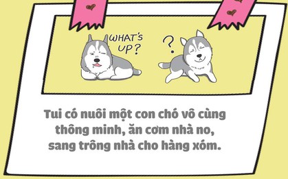 Nuôi thú cưng thì vui nhưng vớ phải một em bị "ngố tàu" thì dở khóc dở cười đấy