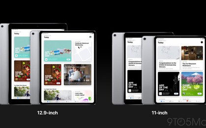 iPad Pro mới sẽ bỏ jack 3.5mm, kích thước nhỏ hơn đáng kể