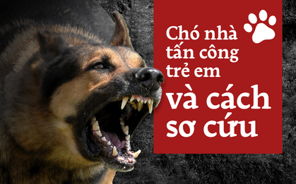 Trước liên tiếp những vụ chó tấn công trẻ em gần đây, tìm hiểu cách sơ cứu vết thương kịp thời
