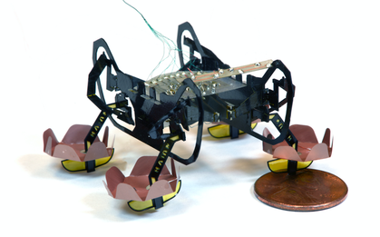 Gián thường biết bay chưa đủ ác mộng, Harvard còn sáng tạo ra cả gián robot biết lặn dưới nước