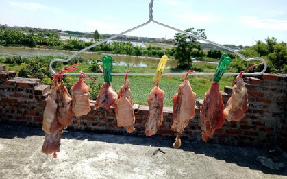 Trời nóng như đổ lửa, cư dân mạng tranh thủ làm món ''thịt lợn nhiều nắng'' để có đồ nhậu xem World Cup