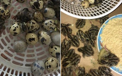 Nổ được bỏng ngô là chuyện nhỏ, nắng nóng còn hô biến chàng trai tân thành bố đơn thân mới vi diệu đây này