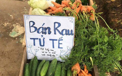 Việc tử tế dễ thuơng nhất hôm nay: Bán rau sạch tự nhiên, người mua rau tự bỏ tiền vào thùng!