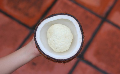 Mộng dừa là gì mà tận 300k/kg, muốn mua cũng không hề dễ?