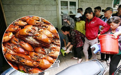 Cận cảnh người Sài Gòn chờ hàng giờ đồng hồ, tranh mua "mâm cua dì Ba" chỉ bán 10 phút là hết sạch