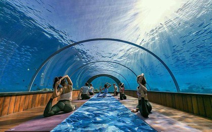 Những lớp học yoga đặc biệt nhất thế giới